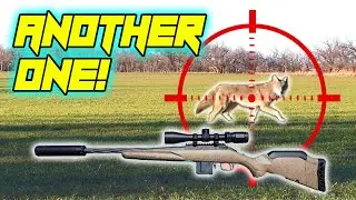 Coyote Hunting with the Ruger American Ranch Gen II 7.62x39!