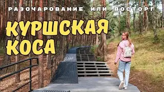 Куршская коса | Сколько стоит отдохнуть в Калининградской области