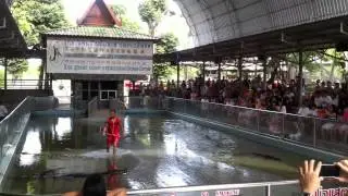 Crocodile Show Phuket ( Шоу крокодилов - Пхукет )