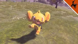 LIVE! Shiny Shinx in Pokémon Legends: Arceus