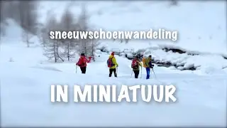 Sneeuwschoenwandelen in miniatuur