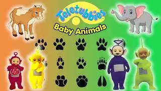 Teletubbies: Baby Animals (DVD)