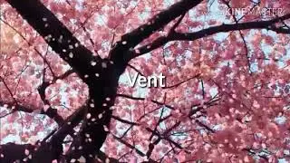 FALLEN YOUTH