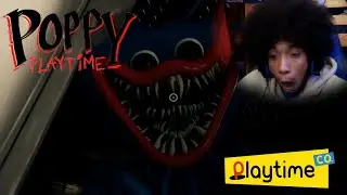 I KNOW I DIDINT PLAY POPPY PLAYTIME ON TIME *PAUSE* [ Poppy Playtime]