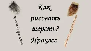 Как РИСОВАТЬ ШЕРСТЬ цветными и простыми карандашами ПРОЦЕСС