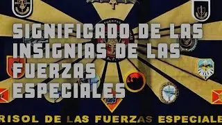 ¿CUAL ES EL SIGNIFICADO DE LAS INSIGNIAS DE LAS FUERZAS ESPECIALES?//(LOS FAMOSOS GAFES)