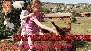 KÖYÜMÜZDE HAYVAN SEVDİK (ÇUKURÖREN KÖYÜ)