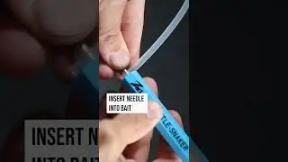 Introducing the Z-Man Rattle-Snaker