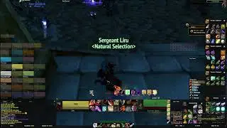 WoW Classic Raiding