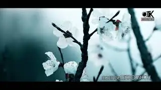 4k Video Ворух ғарқи Гул 2021 Vorukh 2021