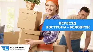 Переезд из г. Кострома - г. Белоярск #легкийпереезд #перевозкагруза #перевозкамебели #транспорт