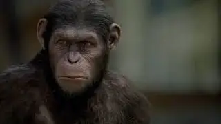 Ape Alone.....