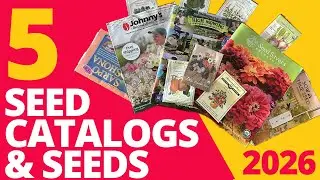 5 Seeds (and Seed Catalogs) to Try in 2026