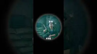 Why Armies Used Cat Eyes in War 👀