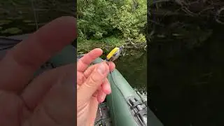 Рибалка спінінгом з човна ! #сержкорнєв #рибалка #риболовля #fish #гадяч #україна
