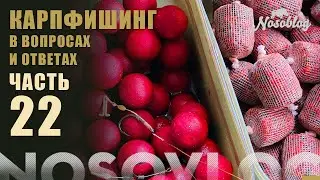 Карпфишинг в вопросах и ответах, А  Колесников, выпуск 22