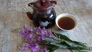 Иван-Чай 2 способа заготовки, ферментация сушка