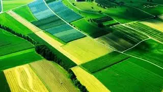 Color fields
