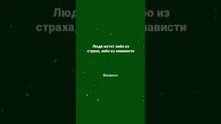 #цитаты