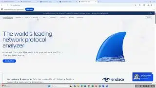 CIS40A Lab 4: Using Wireshark, Network Protocol Analyzer, and Configure Static IP in Kali Linux.