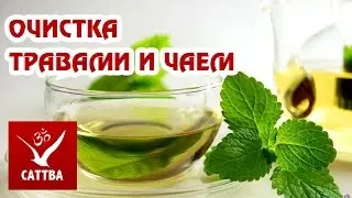 Быстрая и полная очистка организма от шлаков и паразитов