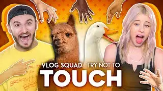 Vlog Squad Try Not To Touch Challenge (Ft. Zane, Matt, Carly & Erin)