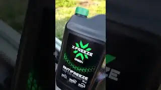 Оживление Логана попытка 6