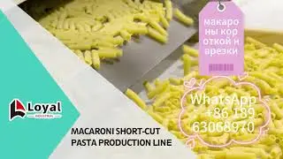 Линия по производству короткорезанных макарон WhatsApp：+86 18963068970
