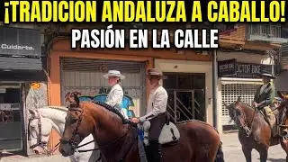 DESFILE DE CABALLOS EN ESPAÑA