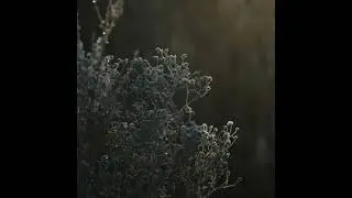Hope - Hideyuki Hashimoto (Official Audio)