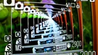 thegreatujo's 28-01-14_2 video upload