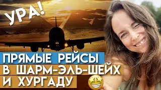 Курорты Египта открыты - вперёд на прямом рейсе в Египет! / Какие цены на туры в Египет 2021?