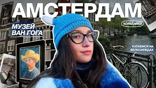 влог из АМСТЕРДАМА // я влюбилась в этот город.