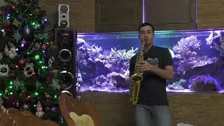 Bailando|Мхитарян Самвел