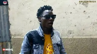 DZP FILM TV ( advert)2023