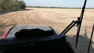 Пахата Рсм2375