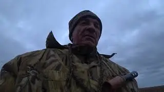 Охота на утку на поле 2
