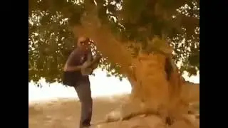 Payg'ambarimiz dam oladigan daraxt xanuzgacha bor ekan