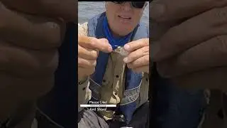 Fishing 101: How to Keep Bait on Your Hook Like a Pro
