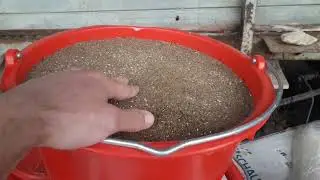 Хурока барои чорвои ширдех.