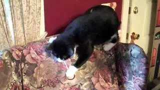 Simon and his lollipop stick
