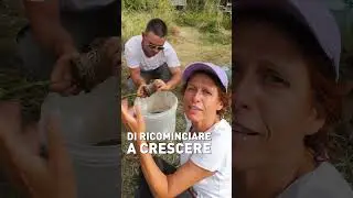 Attento alle PIANTINE che compri! Controlla sempre le RADICI