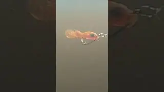Making a soft plastic swimbait from a toothbrush  