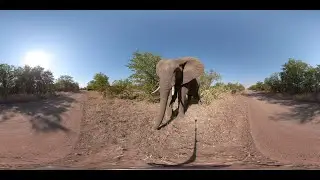 VR Wildlife Safari trip - Photos of Africa @livestreamnature @PhotosofAfrica @360ImageFilm.