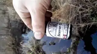 Поймал Бобра на Приманку Beaver Creek