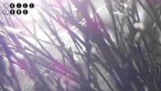 MaHi - Another Day (Original Mix)