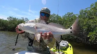 Skipping Baits Under Mangroves