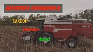 Рекордний врржай Соняшнику 2024!  Демоплое Соняшника на Одещині!