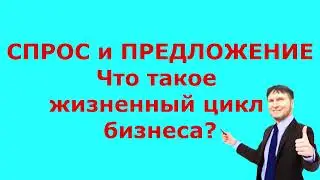 Спрос, предложение, жизненный цикл бизнеса