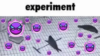 experiment